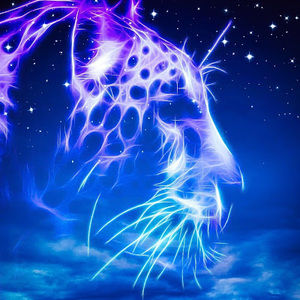 Meet your Posher, Desmond